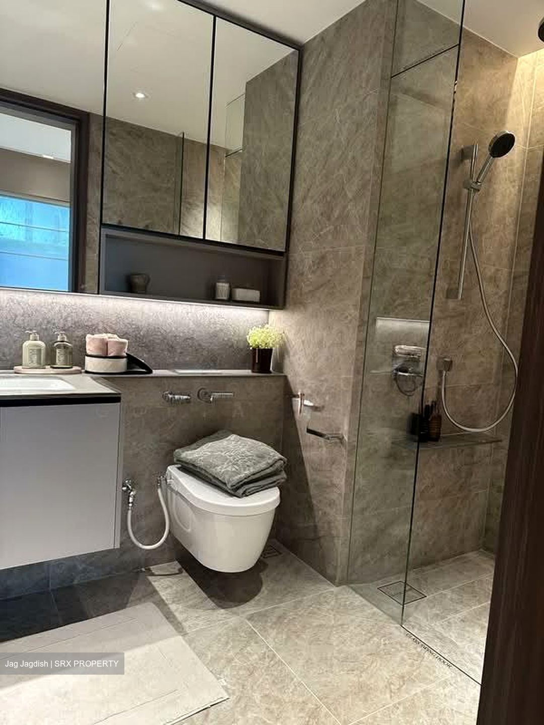 Dunearn Road (D11), Condominium #590924371